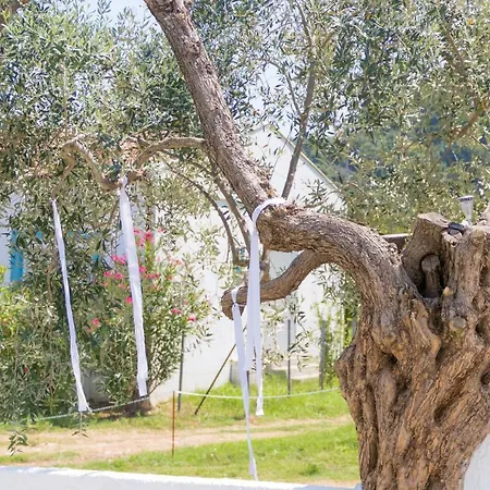 Διαμέρισμα Mikres Kyklades Σκάλα Ποταμιάς