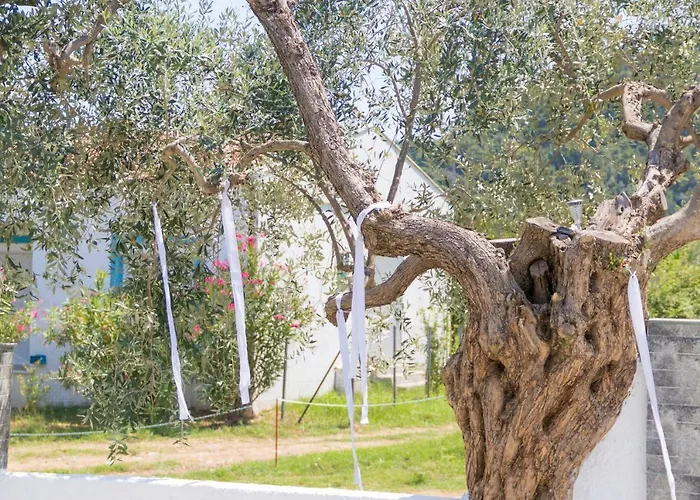 Apartmán Mikres Kyklades Skala Potamia (Thasos)